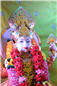 TULSI VIVAH (441).jpg